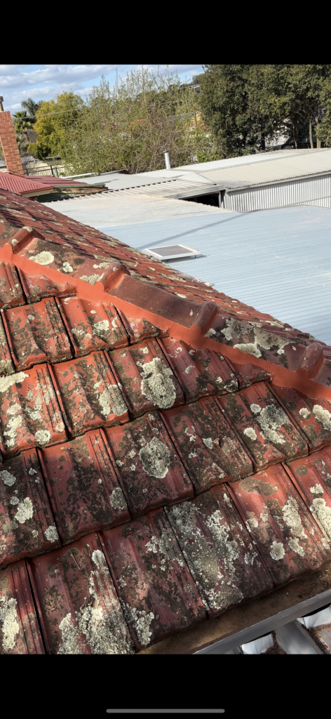 Re-ridging & Pointing - Kennett Roofing